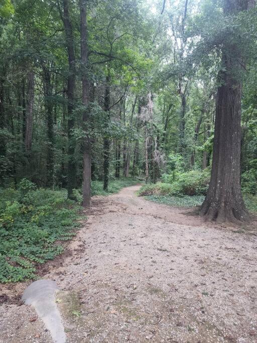 Appartamento Spotless 4Br Near Clt Uptown, Fast Wi-Fi Charlotte Esterno foto